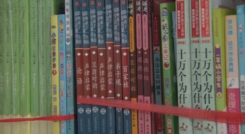 希望書(shū)屋 助留守兒童插上閱讀的翅膀